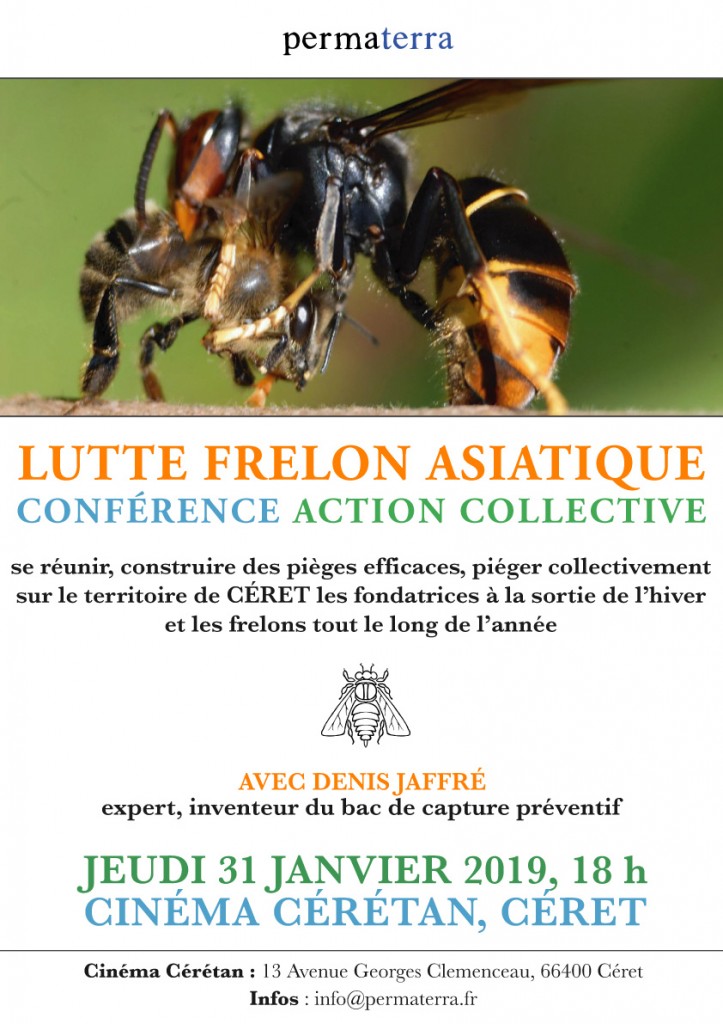 Affiche-Permaterra-frelon-asiatique-janv-2019