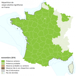 Présence velutina 2016 - Source MNHN